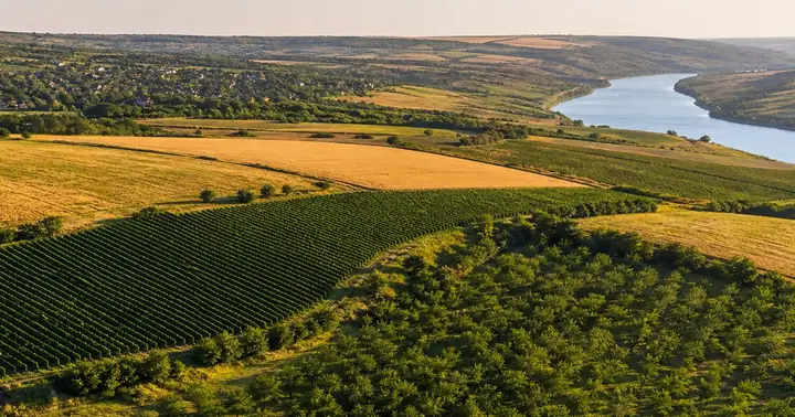 Peisaj agricol din Moldova cu vii, livezi, campuri si apa
